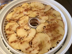 apples-4